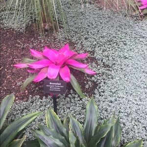 Meet your Posher, Shelly